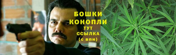 трава Корсаков