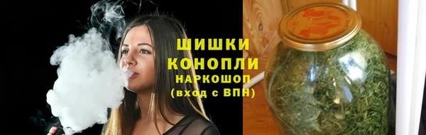 трава Корсаков