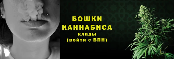 трава Корсаков