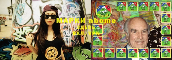 трава Корсаков