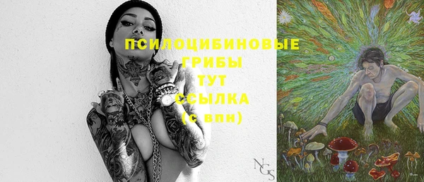 mdma Коряжма