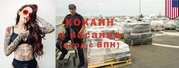 трава Корсаков