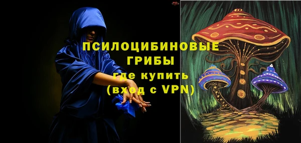 трава Корсаков