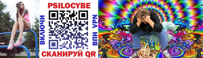 Псилоцибиновые грибы мицелий  Купить  Буинск 